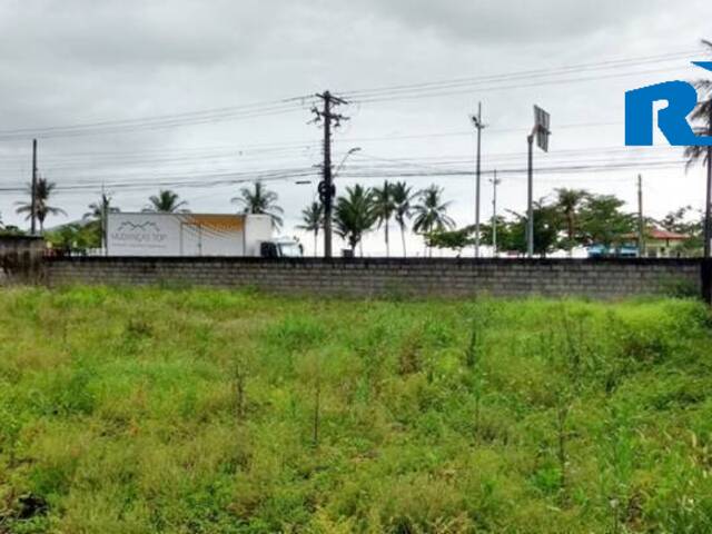 Terreno para Venda em Caraguatatuba - 3