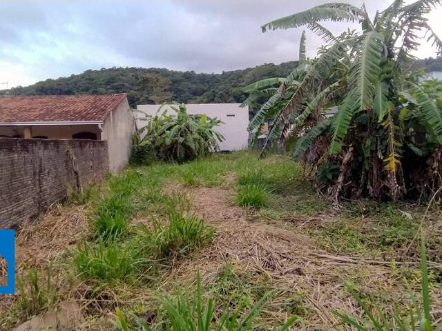 Terreno para Venda em Caraguatatuba - 2