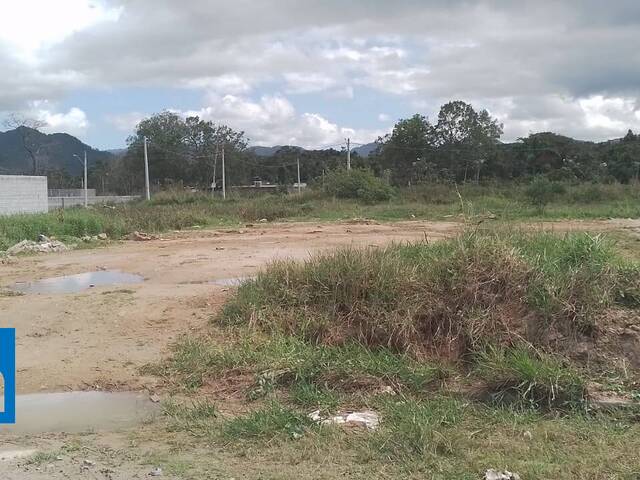 #2516 - Terreno para Venda em Caraguatatuba - SP