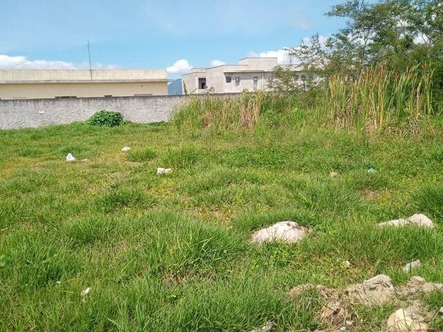 Terreno para Venda em Caraguatatuba - 2