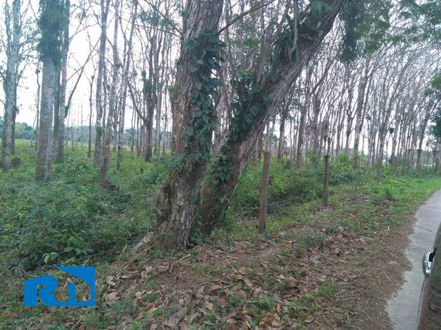 Área para Venda em Caraguatatuba - 5