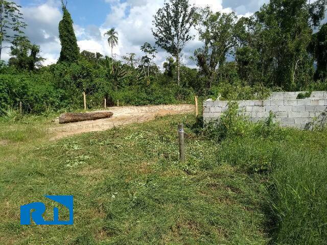 Terreno para Venda em Caraguatatuba - 4