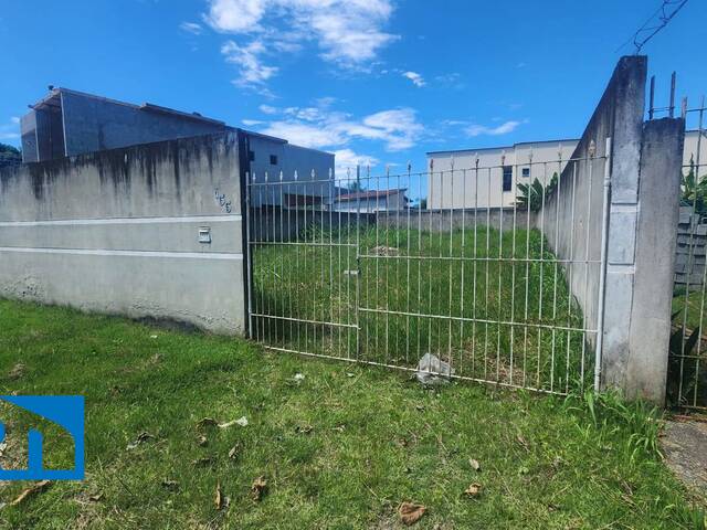 Terreno para Venda em Caraguatatuba - 3