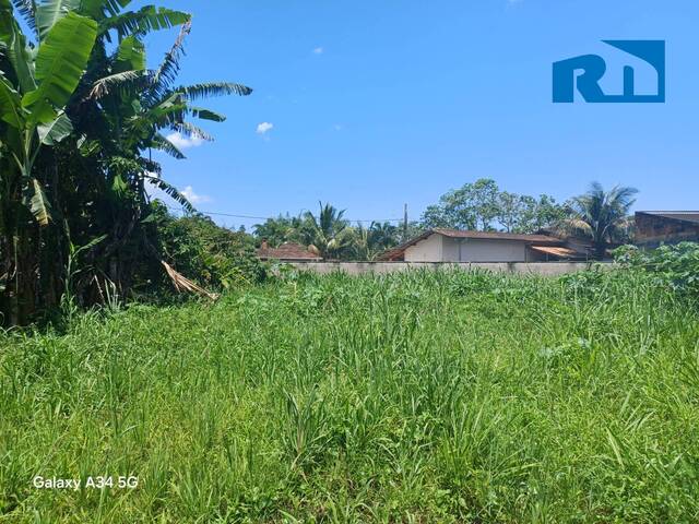 Terreno para Venda em Caraguatatuba - 4