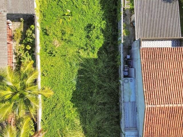 Terreno para Venda em Caraguatatuba - 4