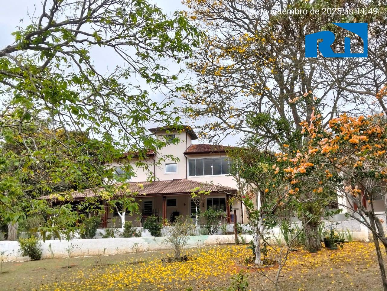 Sítio, 5 quartos, 6160 m² - Foto 11