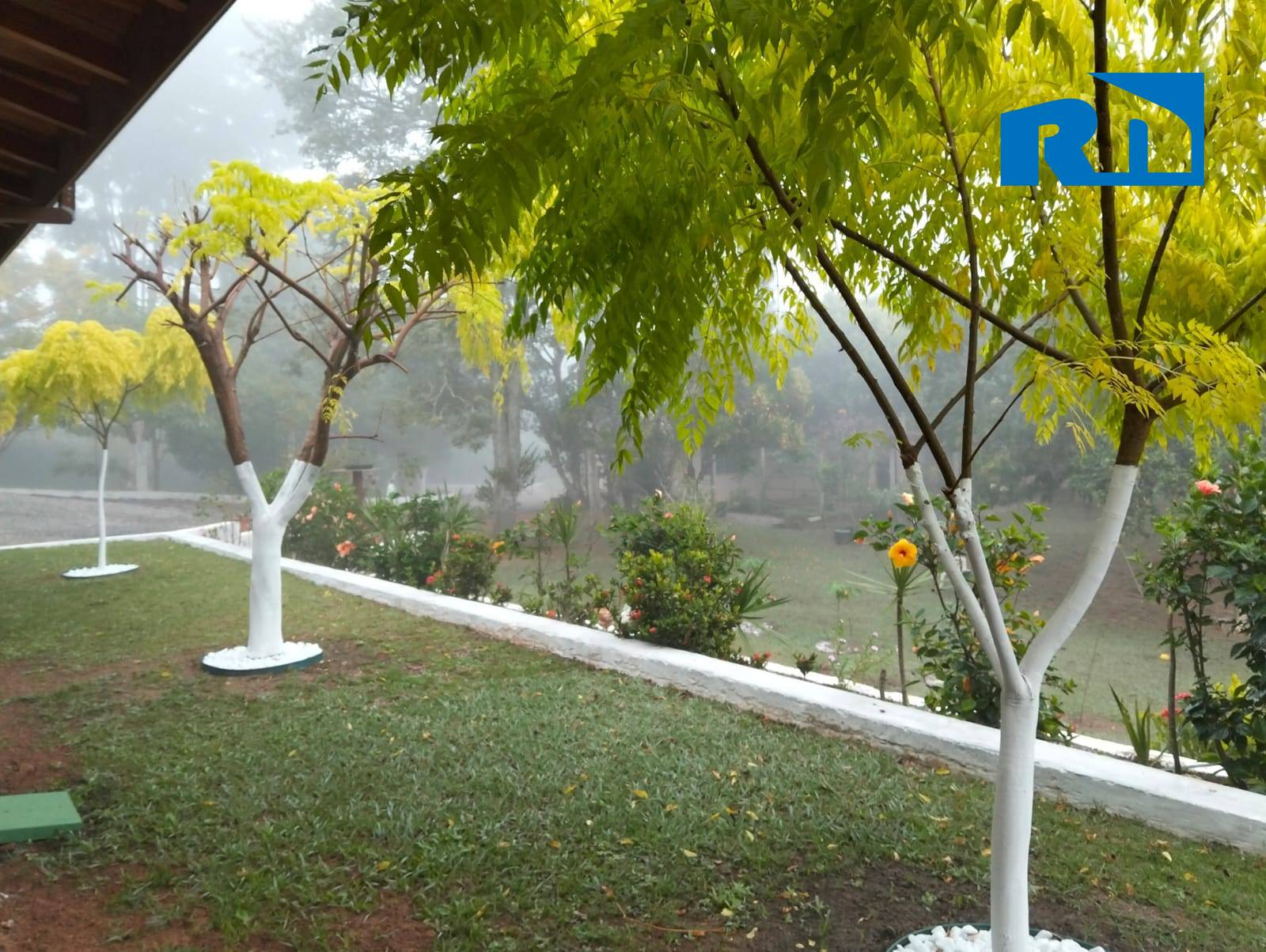 Sítio, 5 quartos, 6160 m² - Foto 13