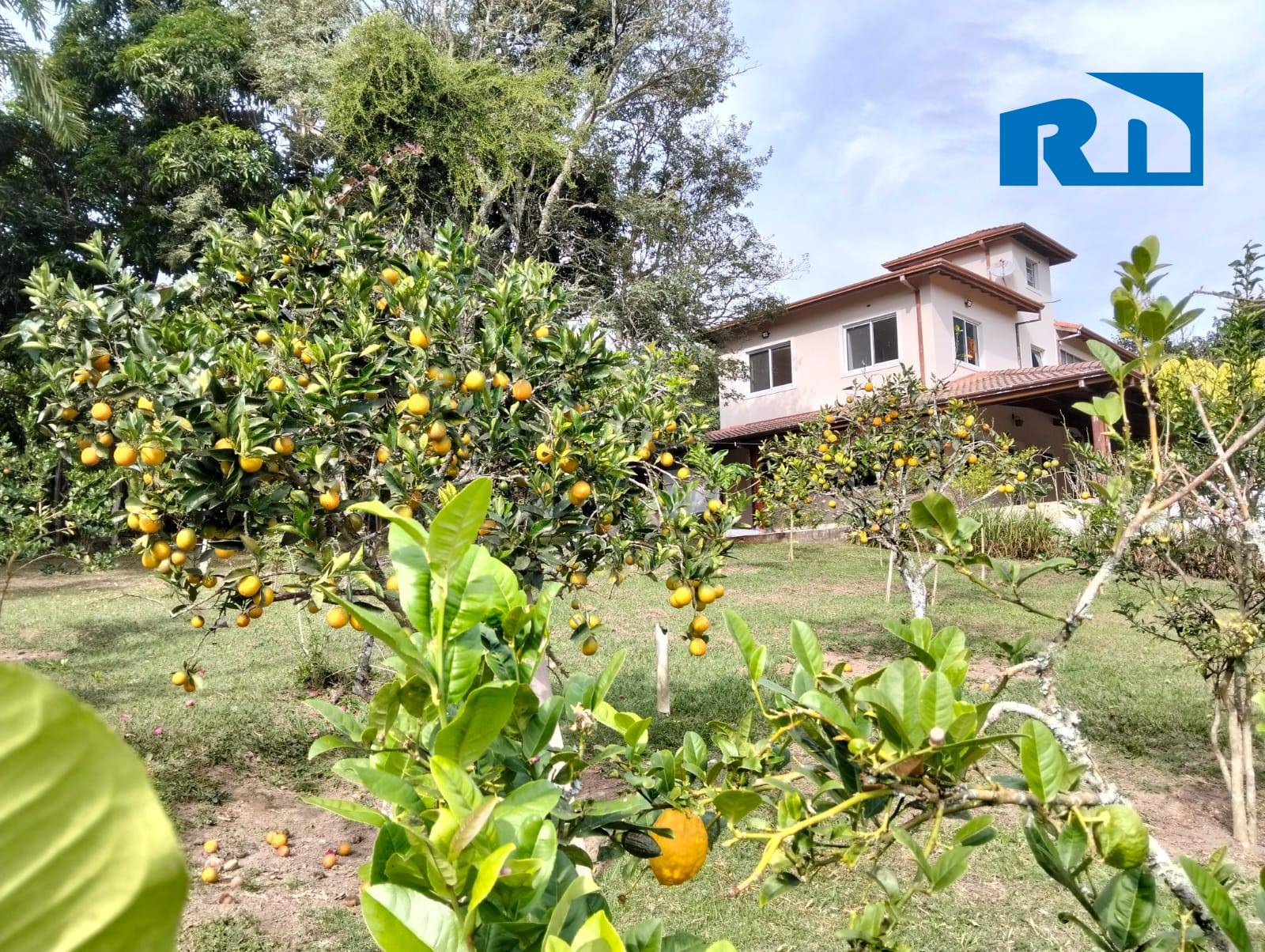 Sítio, 5 quartos, 6160 m² - Foto 14