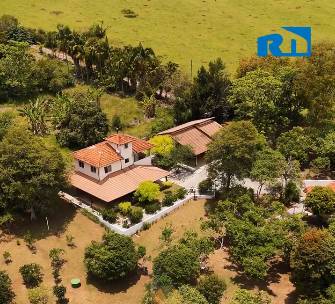 Sítio, 5 quartos, 6160 m² - Foto 2